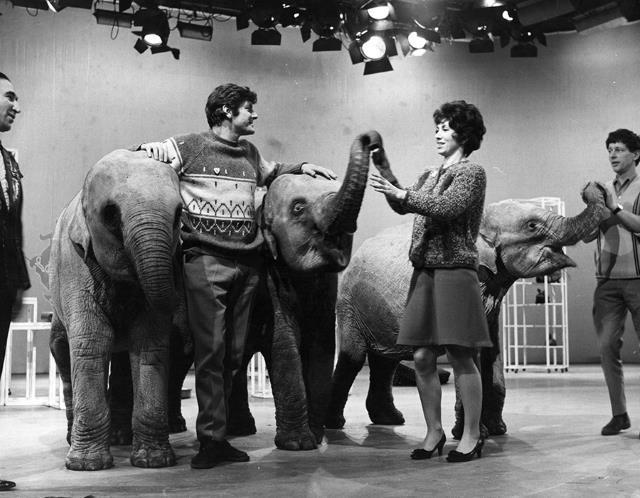 Peter Purves, Blue Peter, Valerie Singleton, John Noakes - and LULU