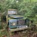Stored in hedge for 20 years ! – 1984 Land Rover Series 3